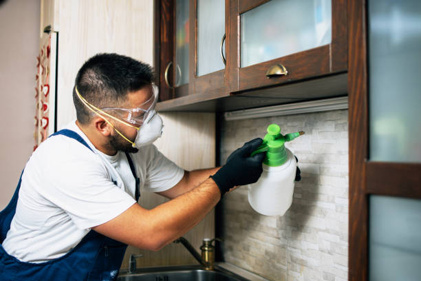 Best Affordable Pest Control Services  in Woods Hole, MA