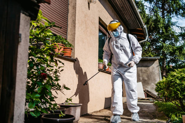 Professional Pest Control in Woods Hole, MA
