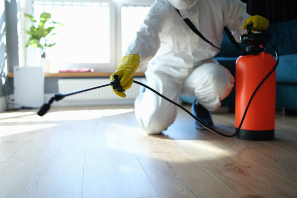 Best Pest Inspection Near Me  in Woods Hole, MA