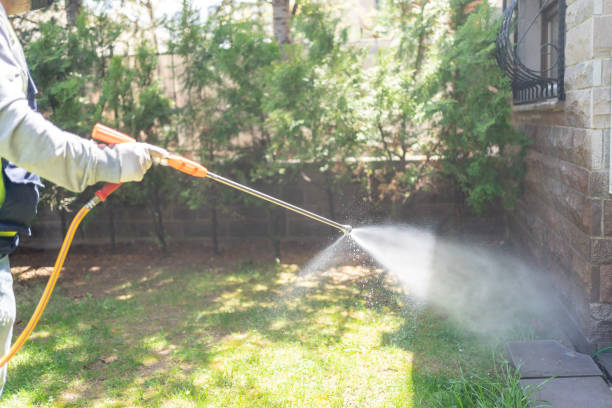 Best Bed Bug Extermination  in Woods Hole, MA
