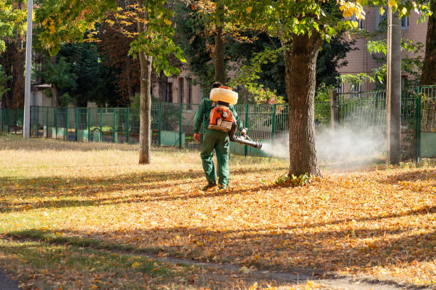 Best Pest Removal Services  in Woods Hole, MA