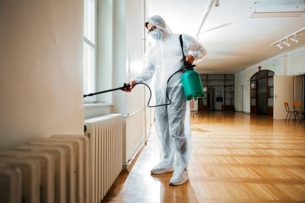 Best Insect Control  in Woods Hole, MA