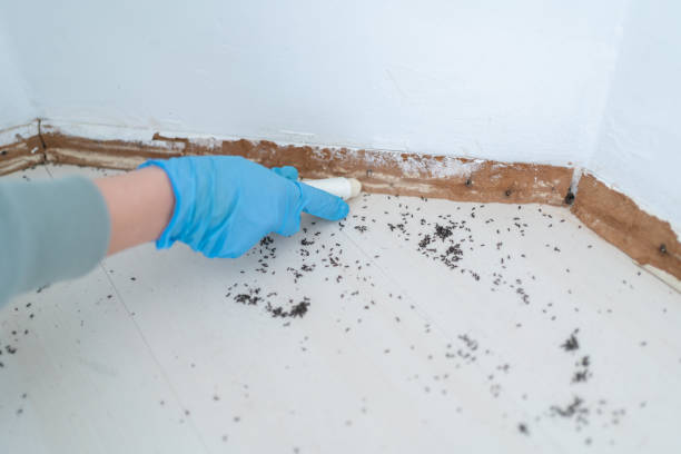 Best Wildlife Control Services  in Woods Hole, MA